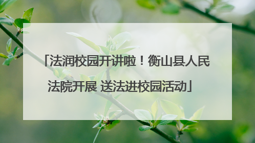 法润校园开讲啦！衡山县人民法院开展 送法进校园活动