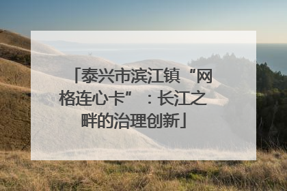 泰兴市滨江镇“网格连心卡”：长江之畔的治理创新