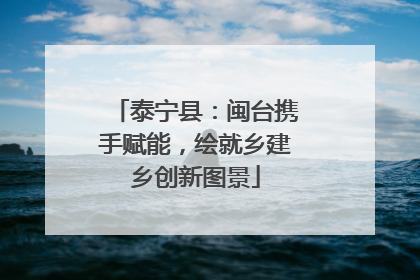 泰宁县：闽台携手赋能，绘就乡建乡创新图景