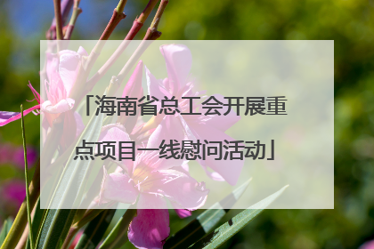 海南省总工会开展重点项目一线慰问活动