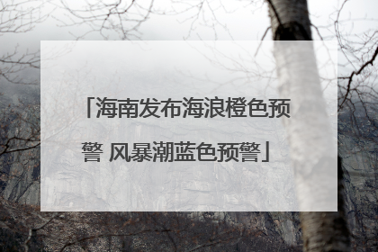 海南发布海浪橙色预警 风暴潮蓝色预警