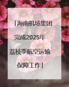 海南机场集团完成2025年荔枝季航空运输保障工作
