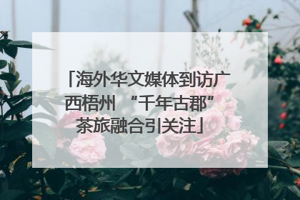 海外华文媒体到访广西梧州 “千年古郡”茶旅融合引关注