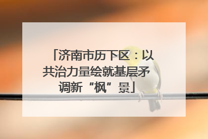 济南市历下区：以共治力量绘就基层矛调新“枫”景