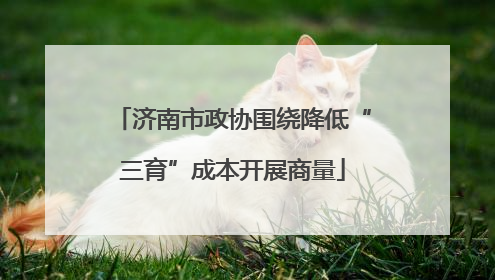 济南市政协围绕降低“三育”成本开展商量