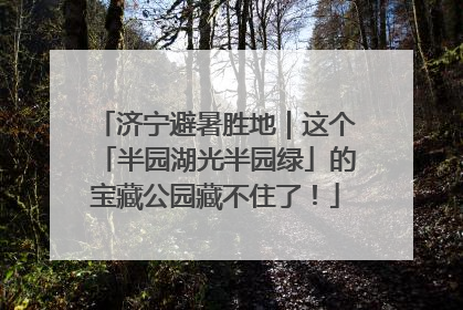 济宁避暑胜地｜这个「半园湖光半园绿」的宝藏公园藏不住了！
