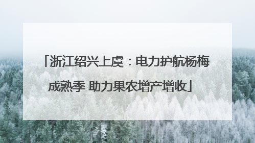 浙江绍兴上虞：电力护航杨梅成熟季 助力果农增产增收