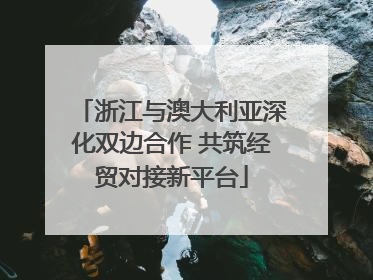 浙江与澳大利亚深化双边合作 共筑经贸对接新平台