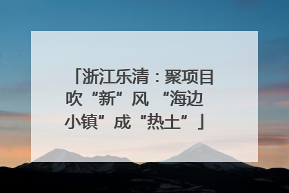 浙江乐清：聚项目吹“新”风 “海边小镇”成“热土”