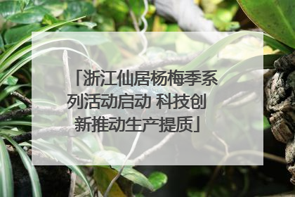 浙江仙居杨梅季系列活动启动 科技创新推动生产提质