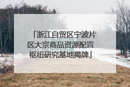 浙江自贸区宁波片区大宗商品资源配置枢纽研究基地揭牌