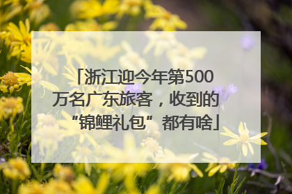 浙江迎今年第500万名广东旅客，收到的“锦鲤礼包”都有啥