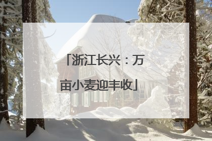 浙江长兴：万亩小麦迎丰收