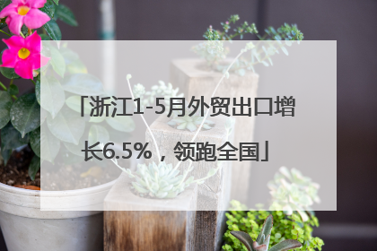 浙江1-5月外贸出口增长6.5%，领跑全国