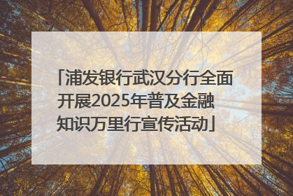 浦发银行武汉分行全面开展2025年普及金融知识万里行宣传活动
