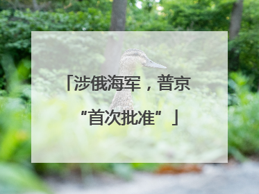 涉俄海军，普京“首次批准”