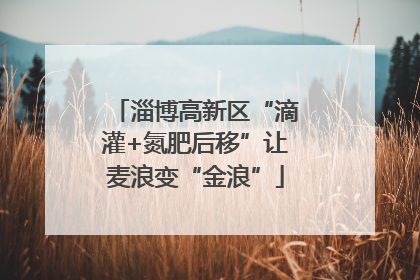 淄博高新区“滴灌+氮肥后移”让麦浪变“金浪”