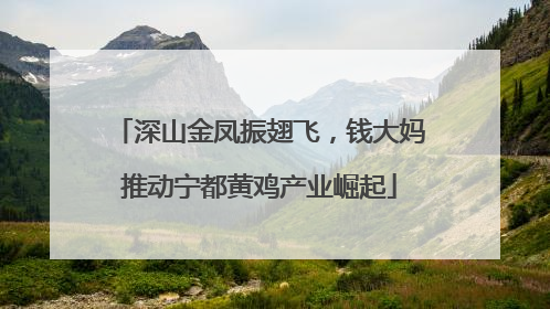 深山金凤振翅飞，钱大妈推动宁都黄鸡产业崛起