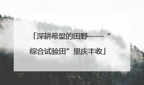 深耕希望的田野——“综合试验田”里庆丰收