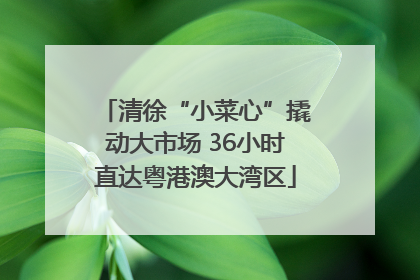 清徐“小菜心”撬动大市场 36小时直达粤港澳大湾区