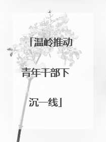 温岭推动青年干部下沉一线