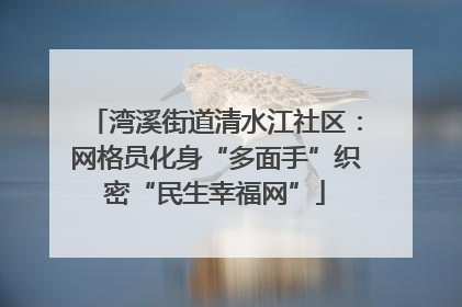 湾溪街道清水江社区：网格员化身“多面手”织密“民生幸福网”