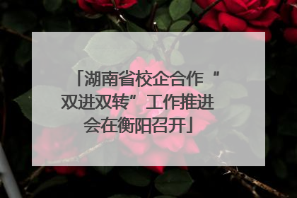 湖南省校企合作“双进双转”工作推进会在衡阳召开