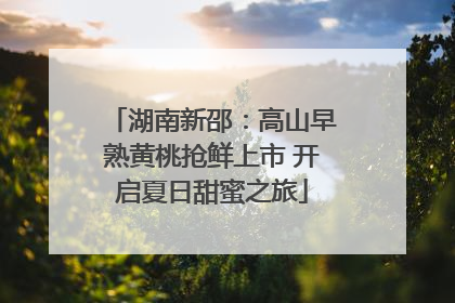 湖南新邵：高山早熟黄桃抢鲜上市 开启夏日甜蜜之旅