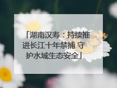 湖南汉寿：持续推进长江十年禁捕 守护水域生态安全