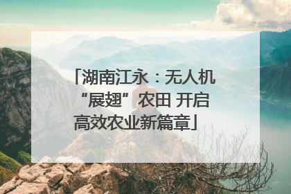 湖南江永：无人机“展翅”农田 开启高效农业新篇章