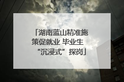 湖南蓝山精准施策促就业 毕业生“沉浸式”探岗