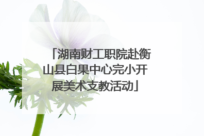 湖南财工职院赴衡山县白果中心完小开展美术支教活动