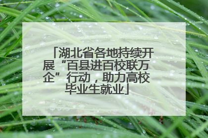 湖北省各地持续开展“百县进百校联万企”行动，助力高校毕业生就业