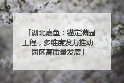 湖北嘉鱼：锚定满园工程，多维度发力推动园区高质量发展