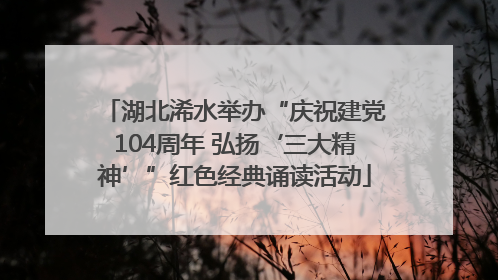 湖北浠水举办“庆祝建党104周年 弘扬‘三大精神’”红色经典诵读活动