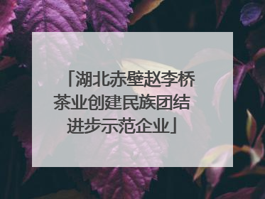 湖北赤壁赵李桥茶业创建民族团结进步示范企业