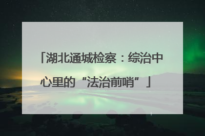 湖北通城检察：综治中心里的“法治前哨”