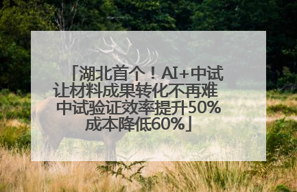 湖北首个！AI+中试让材料成果转化不再难 中试验证效率提升50%成本降低60%