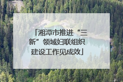 湘潭市推进“三新”领域妇联组织建设工作见成效