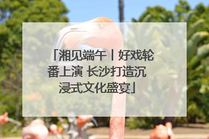 湘见端午丨好戏轮番上演 长沙打造沉浸式文化盛宴