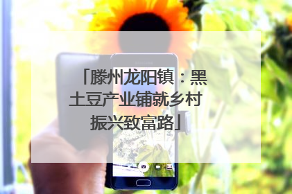 滕州龙阳镇：黑土豆产业铺就乡村振兴致富路