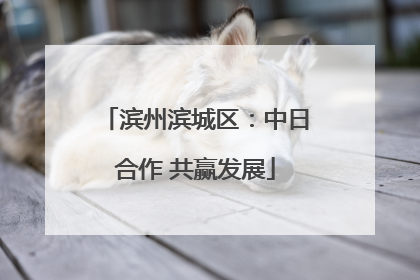 滨州滨城区：中日合作 共赢发展