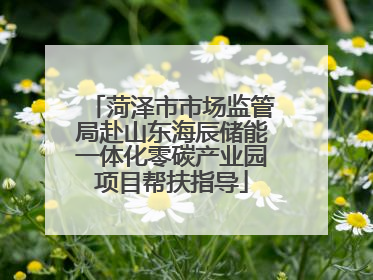 菏泽市市场监管局赴山东海辰储能一体化零碳产业园项目帮扶指导