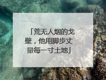 荒无人烟的戈壁，他用脚步丈量每一寸土地