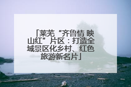 莱芜“齐鲁情 映山红”片区：打造全域景区化乡村、红色旅游新名片