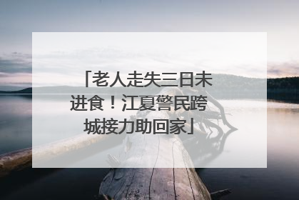 老人走失三日未进食！江夏警民跨城接力助回家