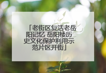 老街区复活老岳阳记忆 岳阳楼历史文化保护利用示范片区开街