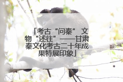 考古“问秦” 文物“述往”——甘肃秦文化考古二十年成果特展印象