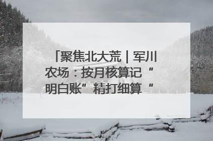 聚焦北大荒｜军川农场：按月核算记“明白账”精打细算“过紧日子”