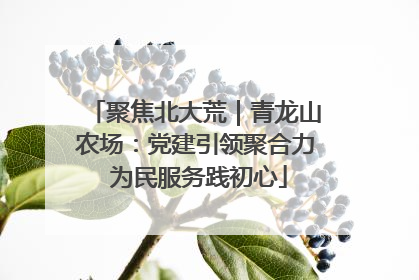 聚焦北大荒｜青龙山农场：党建引领聚合力 为民服务践初心